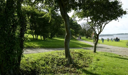 Trees, paths and fjord views at Kalvø