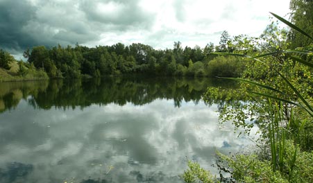 Der See in der ehemaligen Kiesgrube Skuldelev mit Bäumen am Ufer.