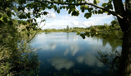 Blick durch Zweige auf den See in der ehemaligen Kiesgrube Skuldelev.