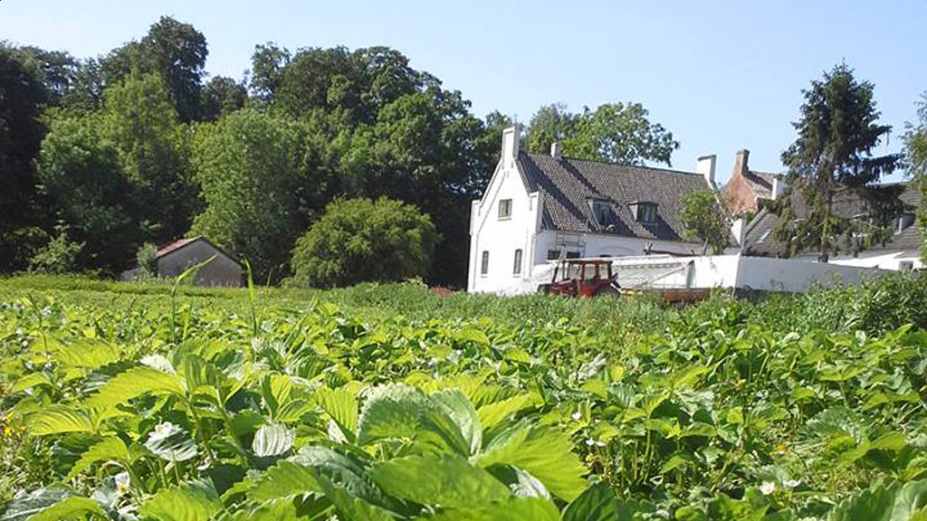 Gut Svanholm hinter einer grünen Wiese.