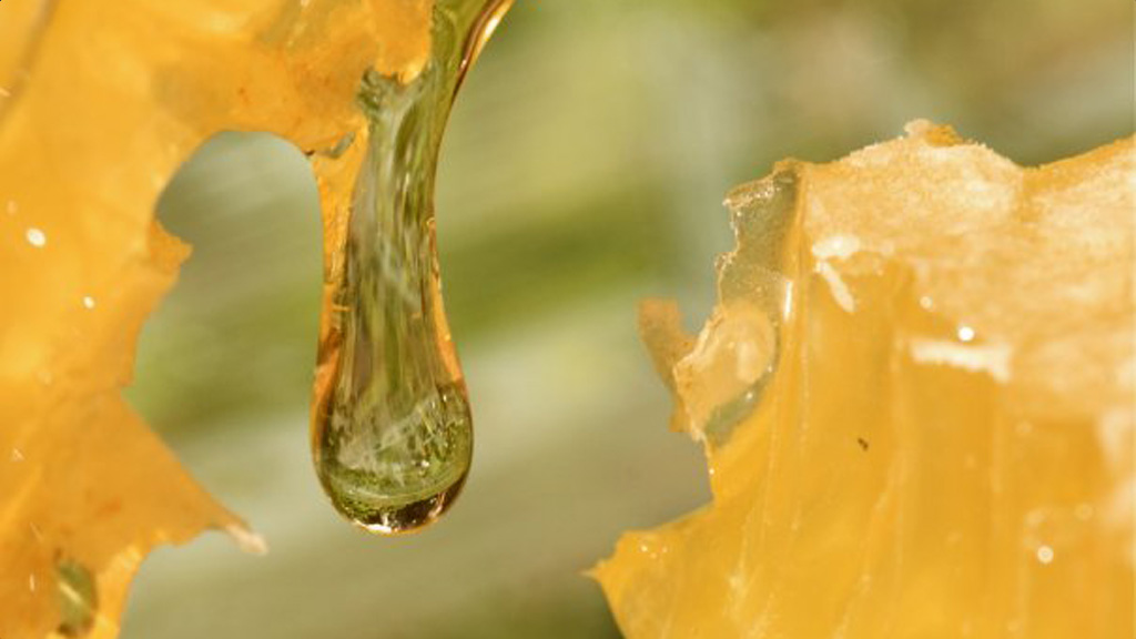 Honey running from a spoon.