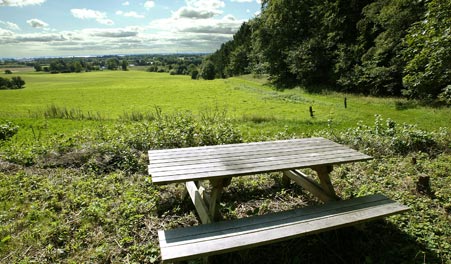 Picknicktisch an einer Lichtung in Svanholms Wäldern
