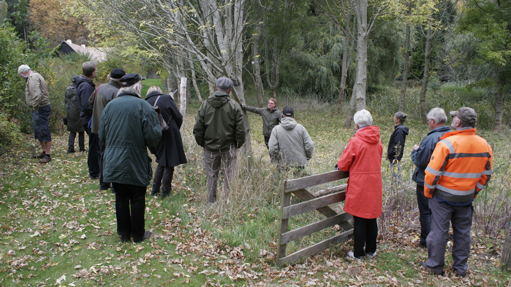 A group visiting the trees in Gerlevparken
