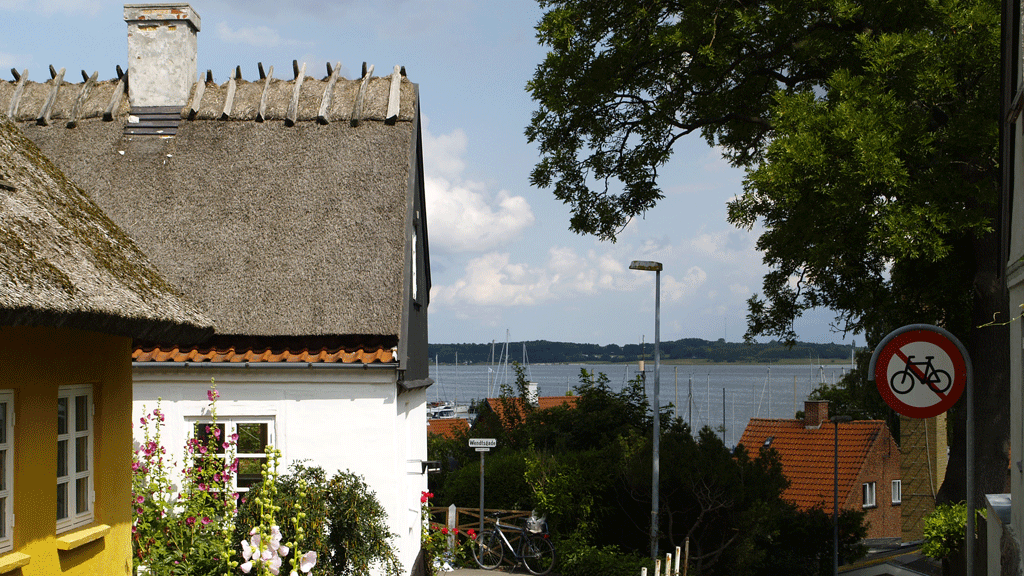 Gelbes Reetdachhaus mit Blick zum Hafen von Roskilde