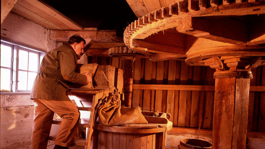 Müller am historischen Mahlwerk der Tadre Mühle