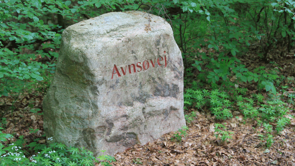 Stone bearing the name Avnsø beside the woodland lake