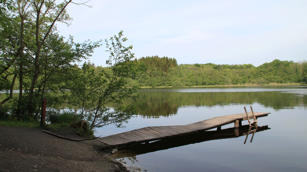 Bathing jetty at Avnsø surrounded by woodland