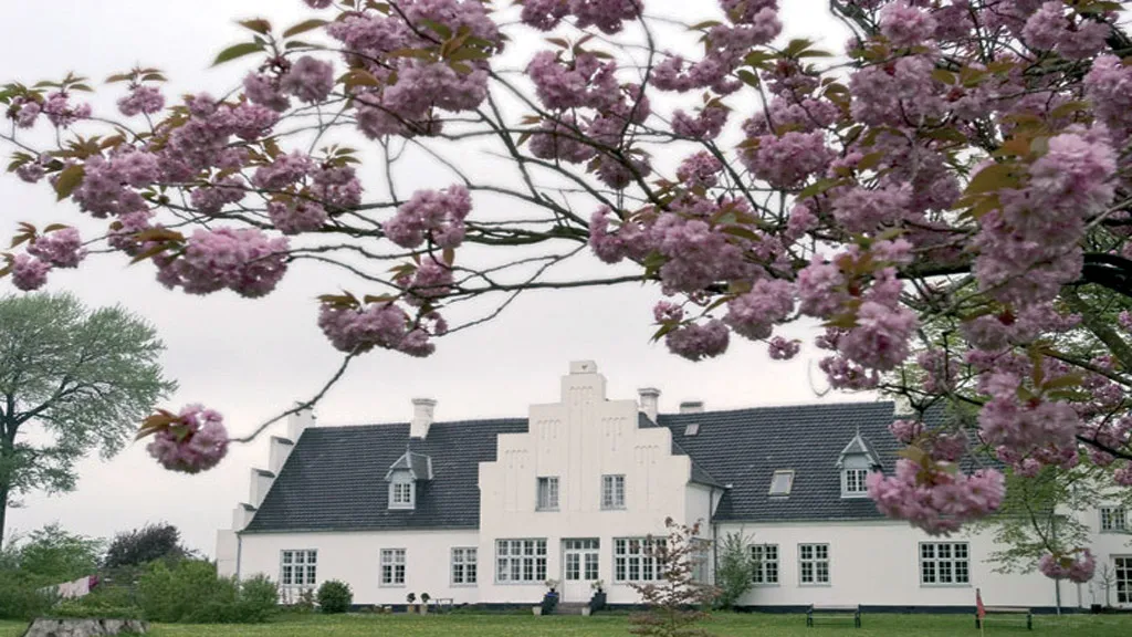 Pink cherry blossoms on a tree surround the facade of Brandbjerg Manor in the photo.