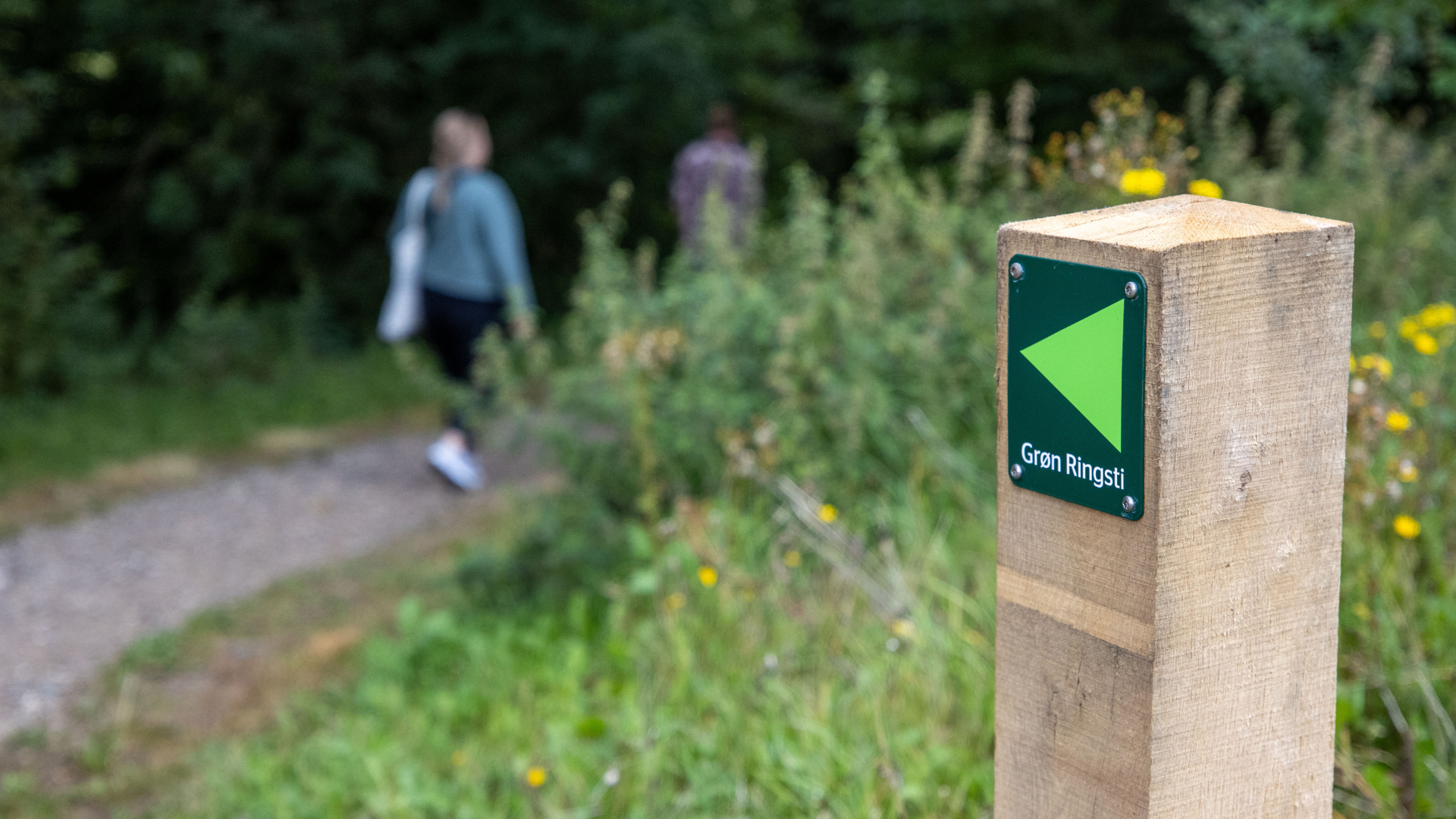 Afmærkning på den Grønne ringsti i vejle