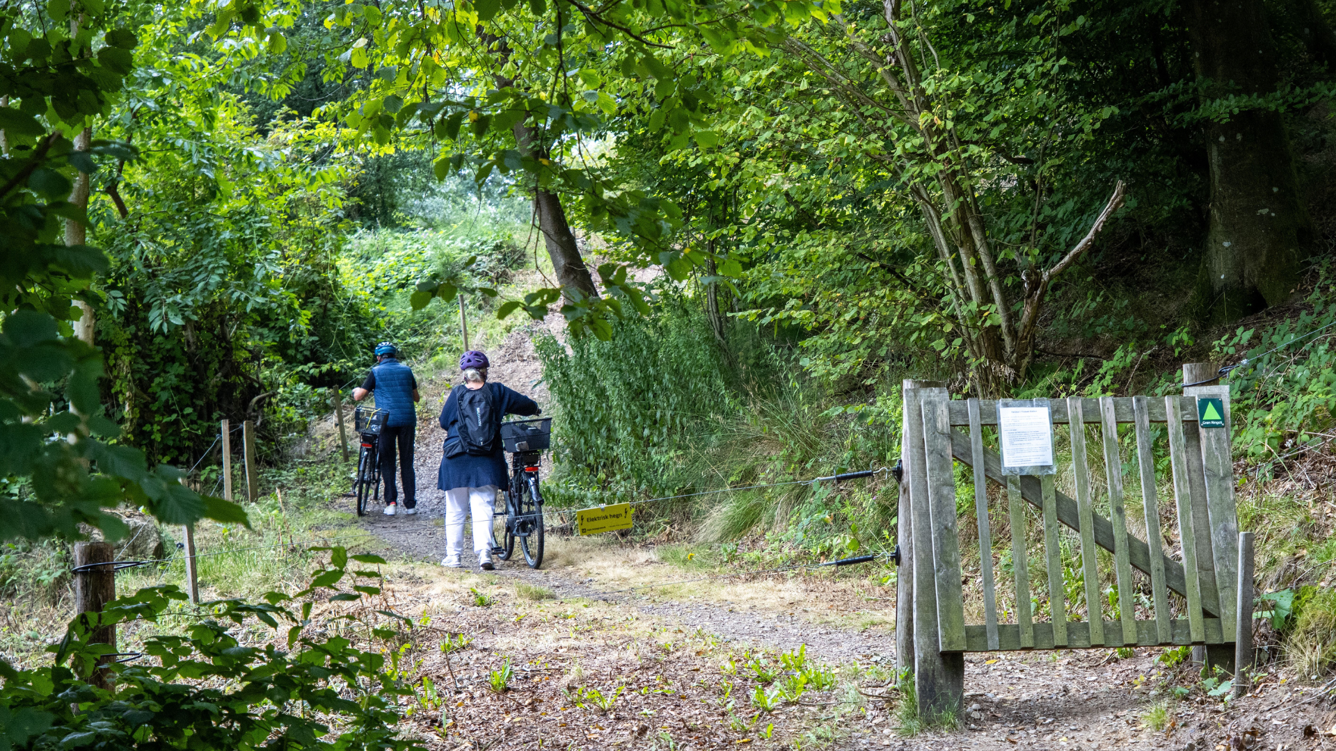 Mennesker med cykel på Grøn Ringsti i vejle