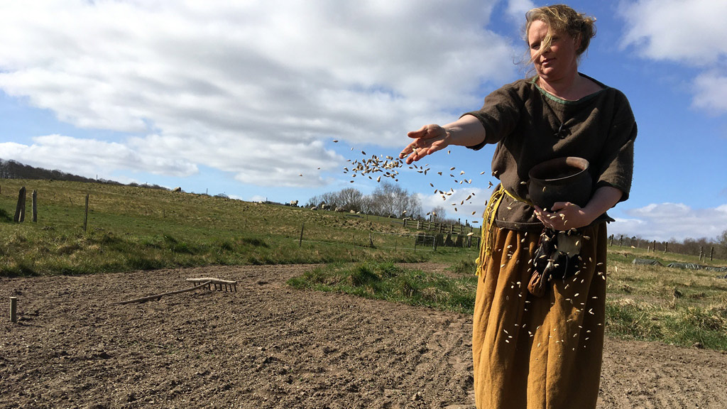 Farmer sowing a field in the Iron Age in Vingsted