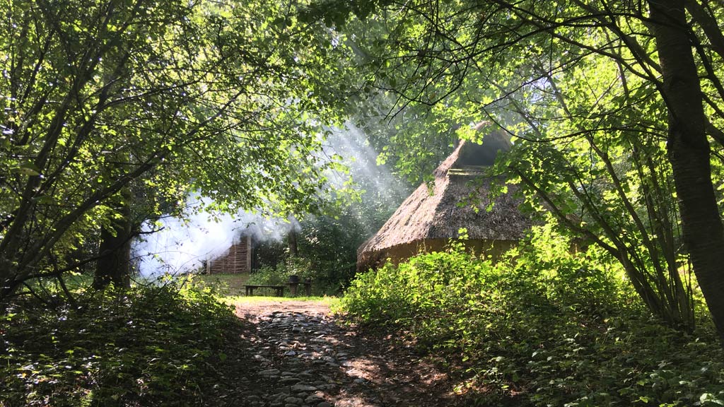 House located in a clearing in Vingsted Iron Age