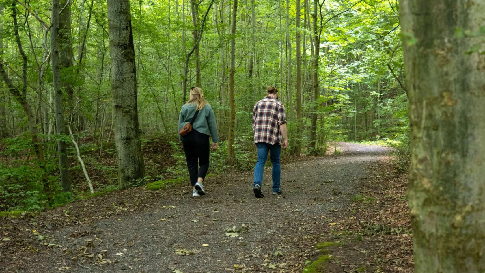 Walk in the forest near Tirsbæk Beach