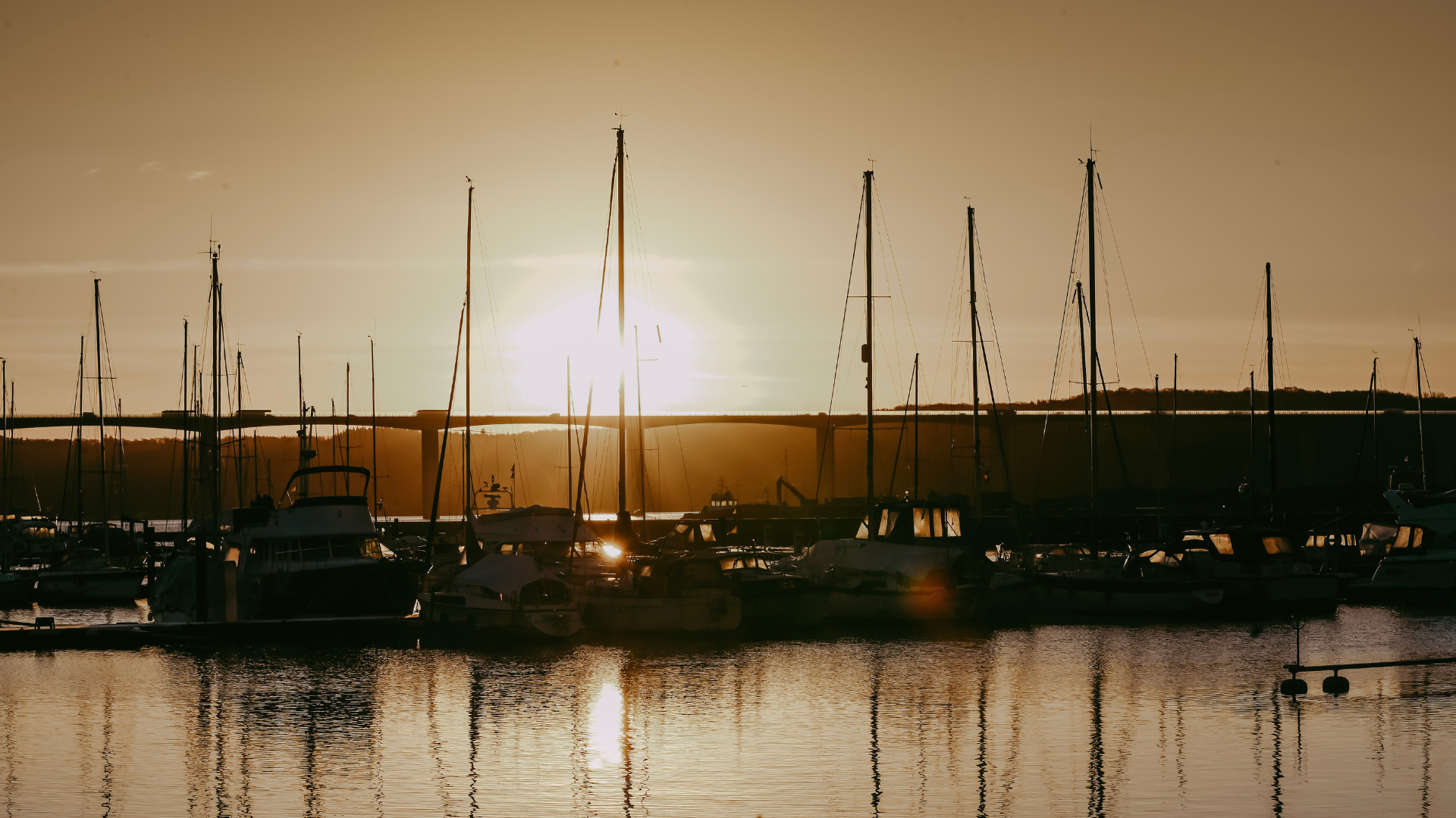 Vejle’s harbour by the marina