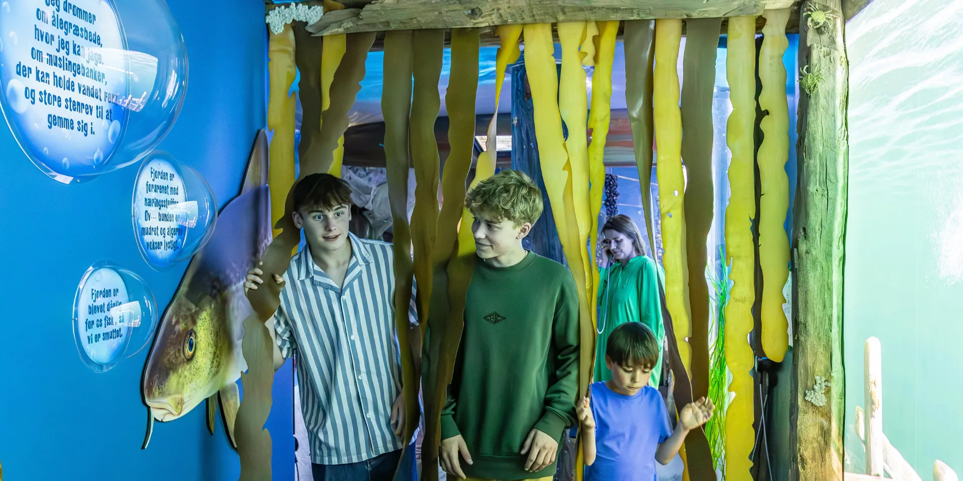 Children walk through the seaweed and enter the exhibition about the fjord and sea.