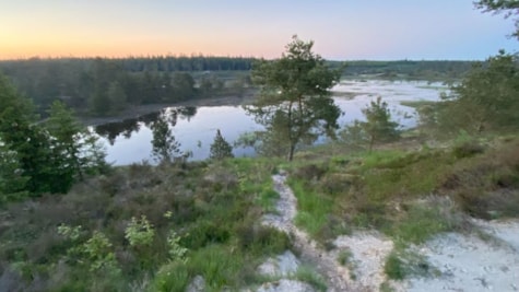 Vingesus Events - udsigt over Syvårssøerne i Frederikshåb Plantage