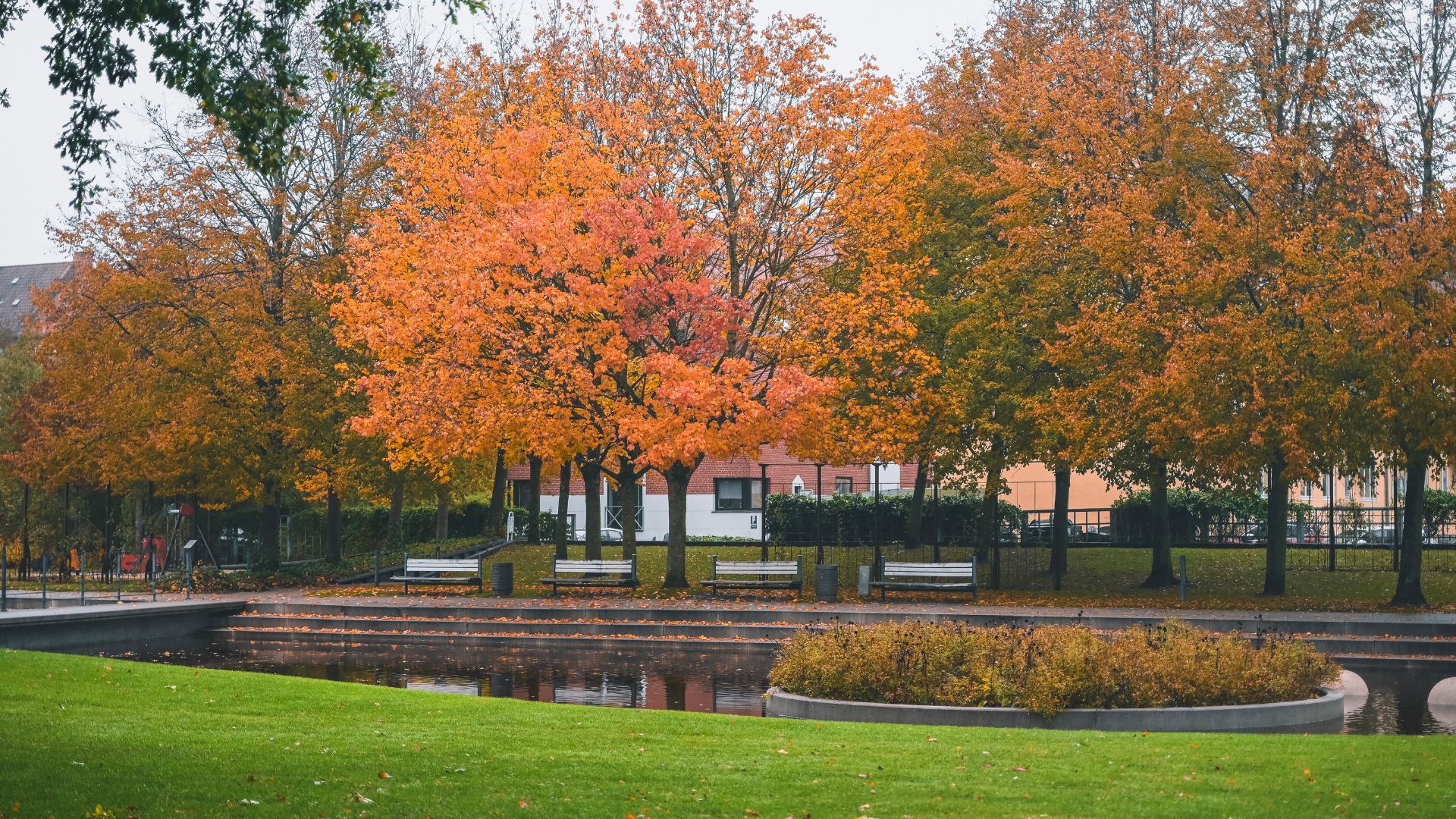 Autumn colours in the park
