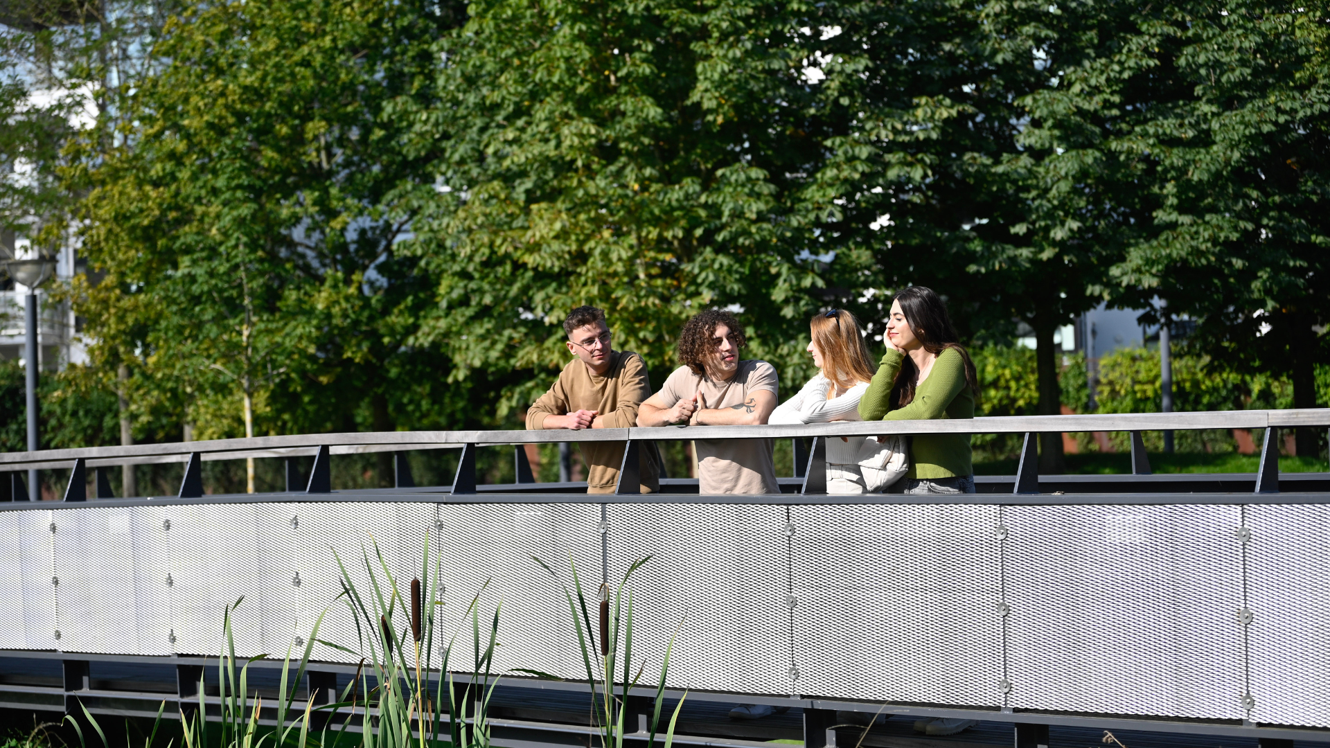 Friends on the bridge in the park