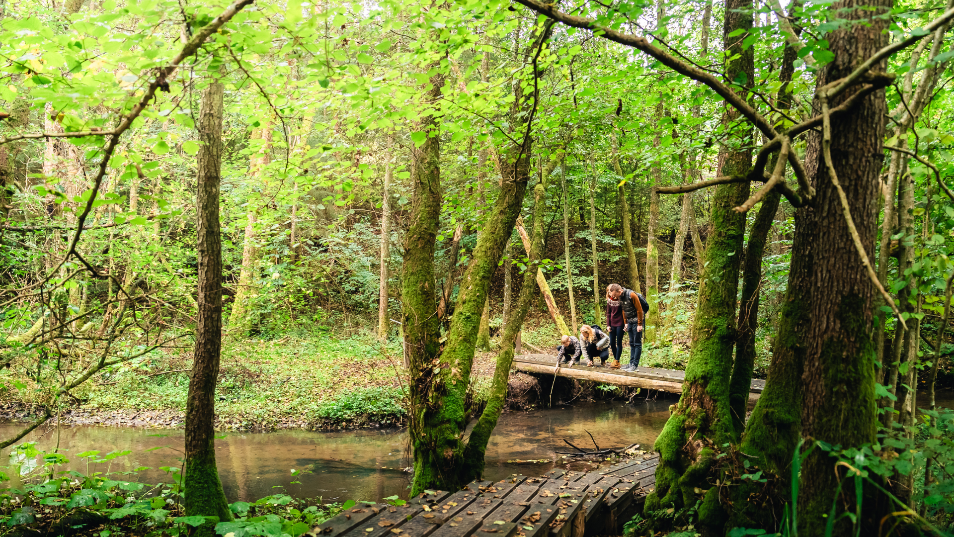 Naturen undersøges af familie på tur i Grejsdalen
