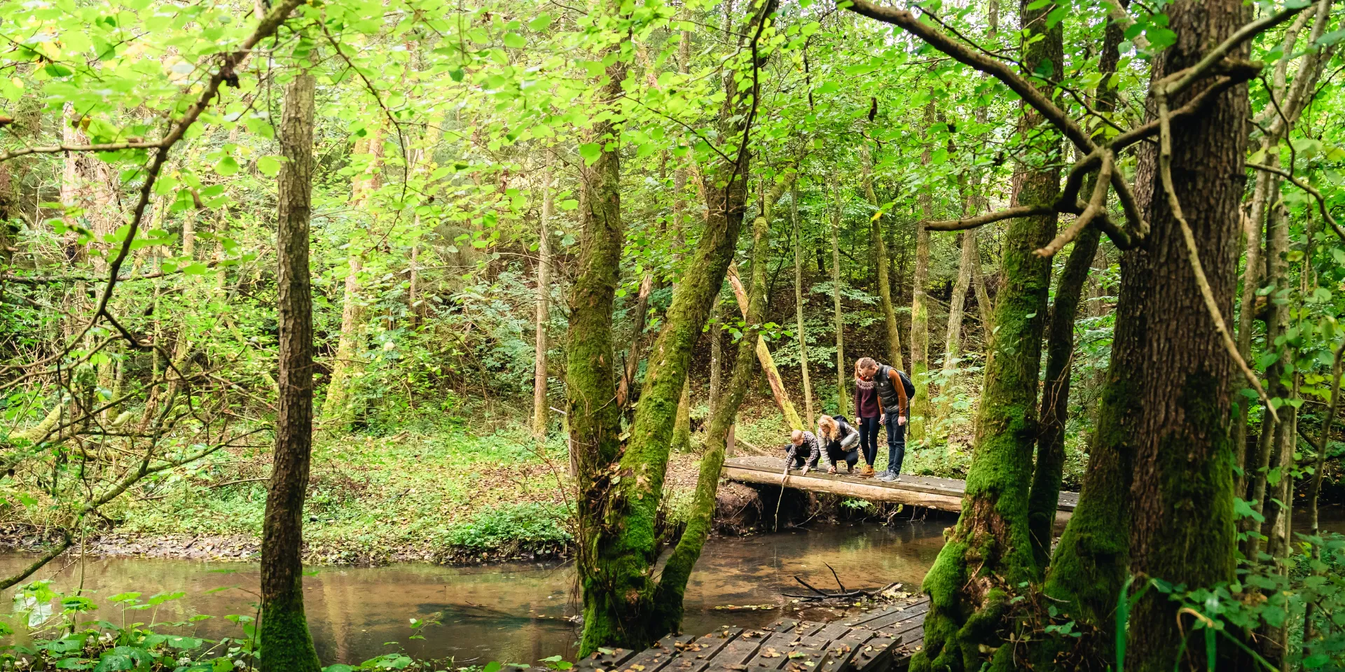 Naturen undersøges af familie på tur i Grejsdalen