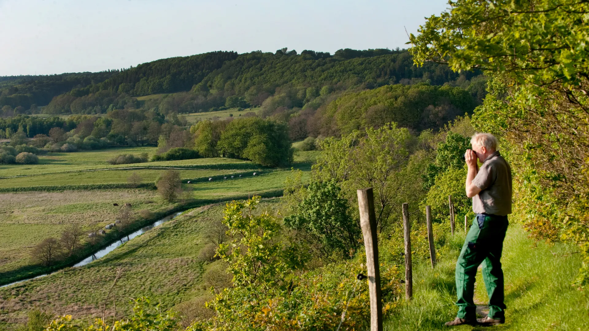 Udsigt over Runkebjerg
