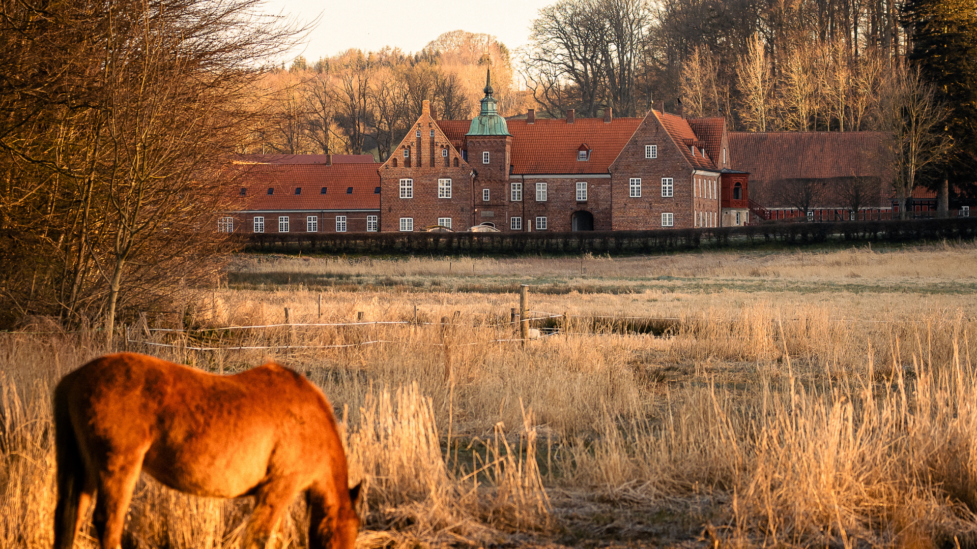 Tirsbæk Gods winter
