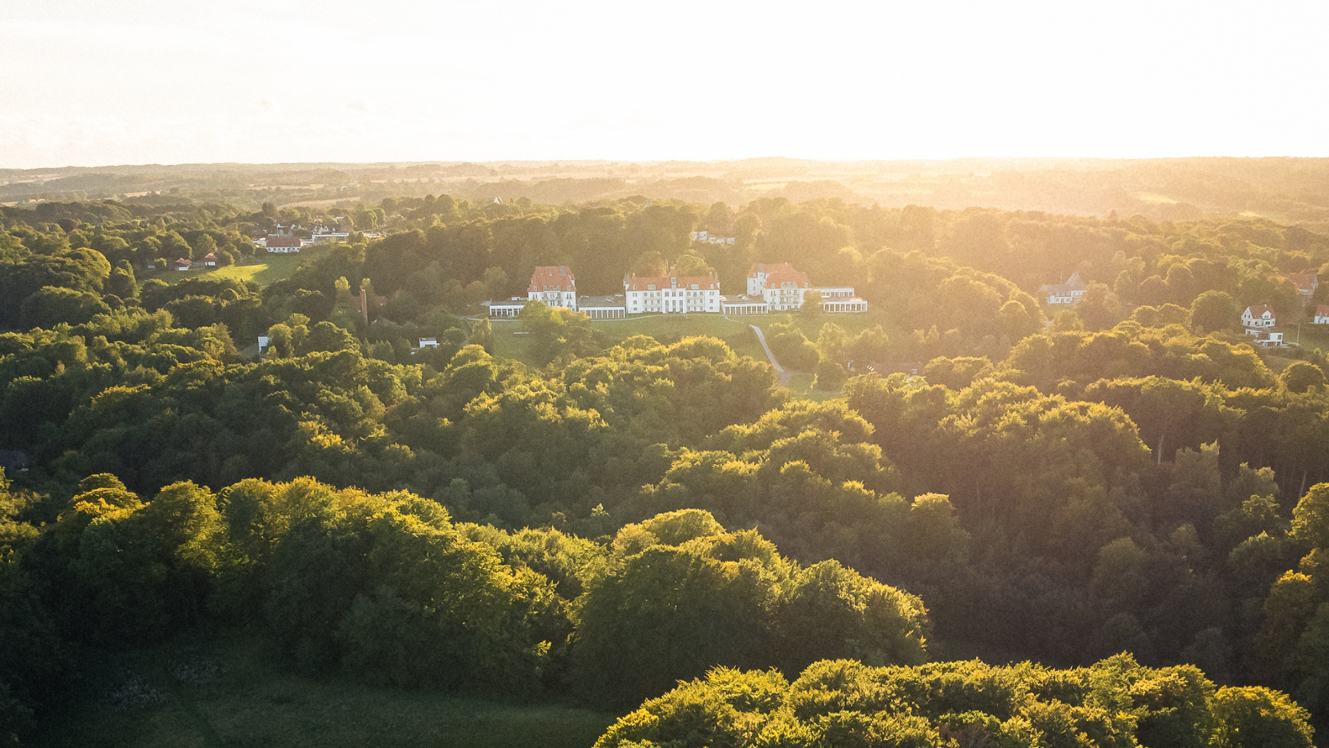 Drone over the forest by Comwell Kellers Park