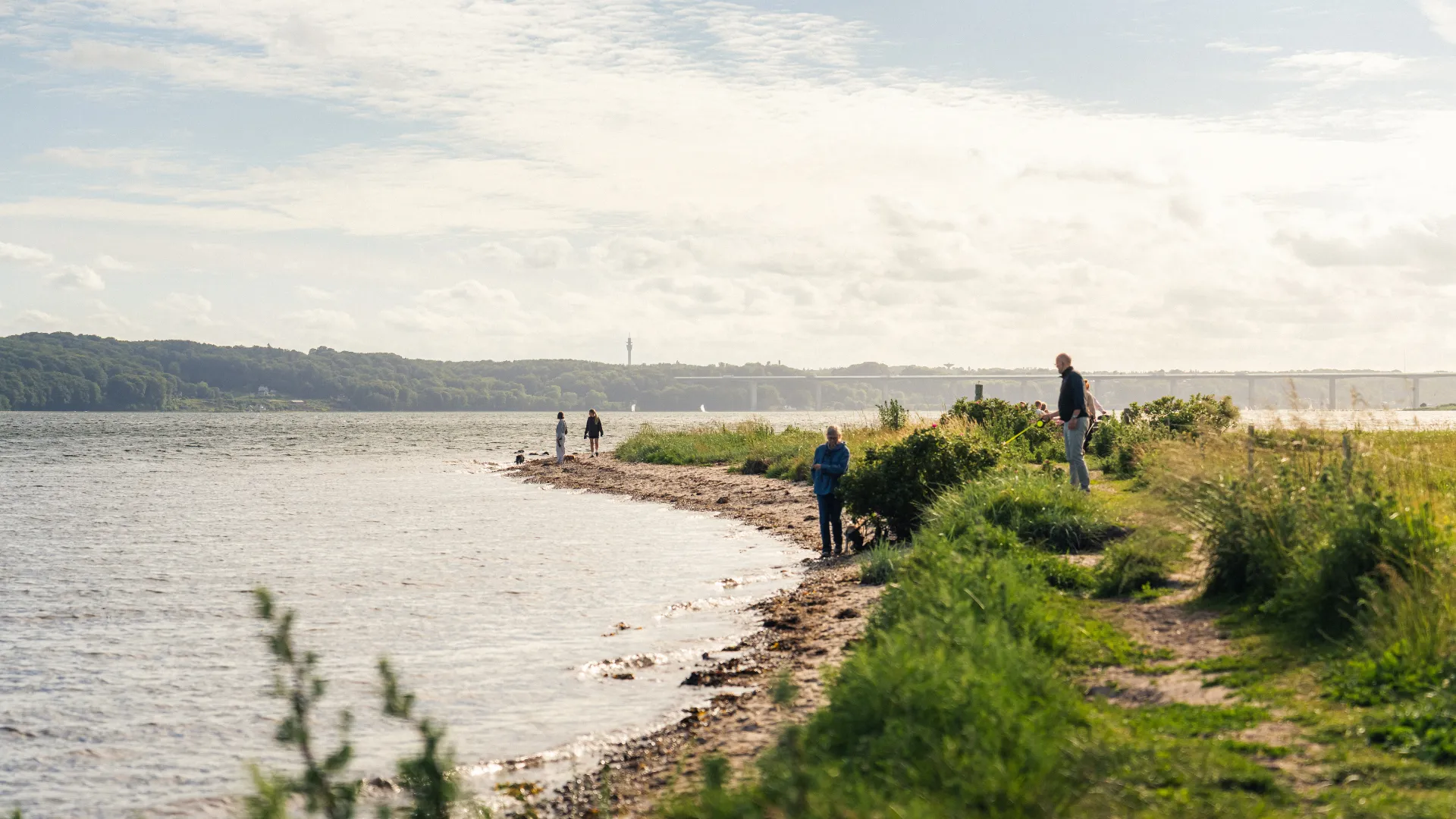 Visitors on a walk at Tirsbæk Beach