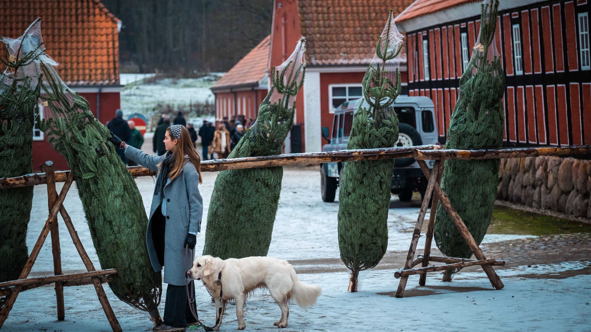 Pige med hund står ved juletræer til julemarked på Tirsbæk Gods