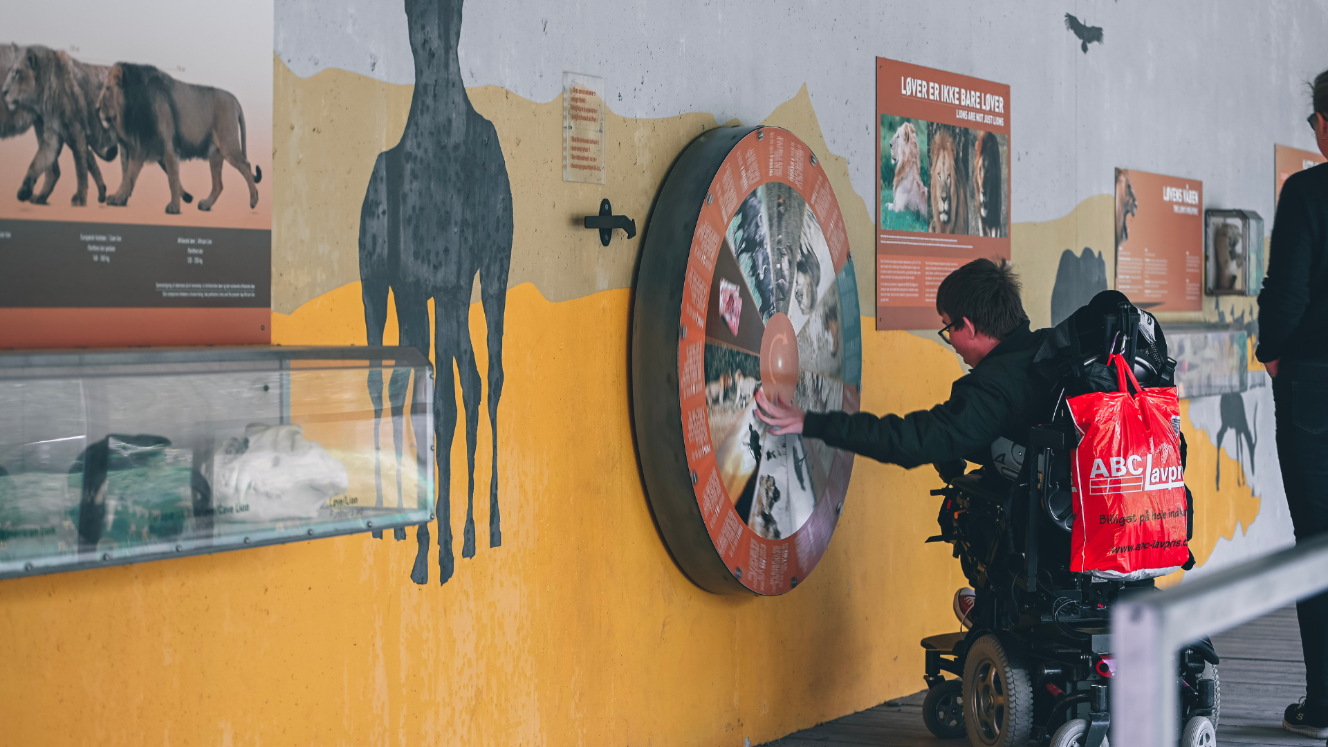 Boy in a wheelchair exploring the exhibition at GIVSKUD ZOO