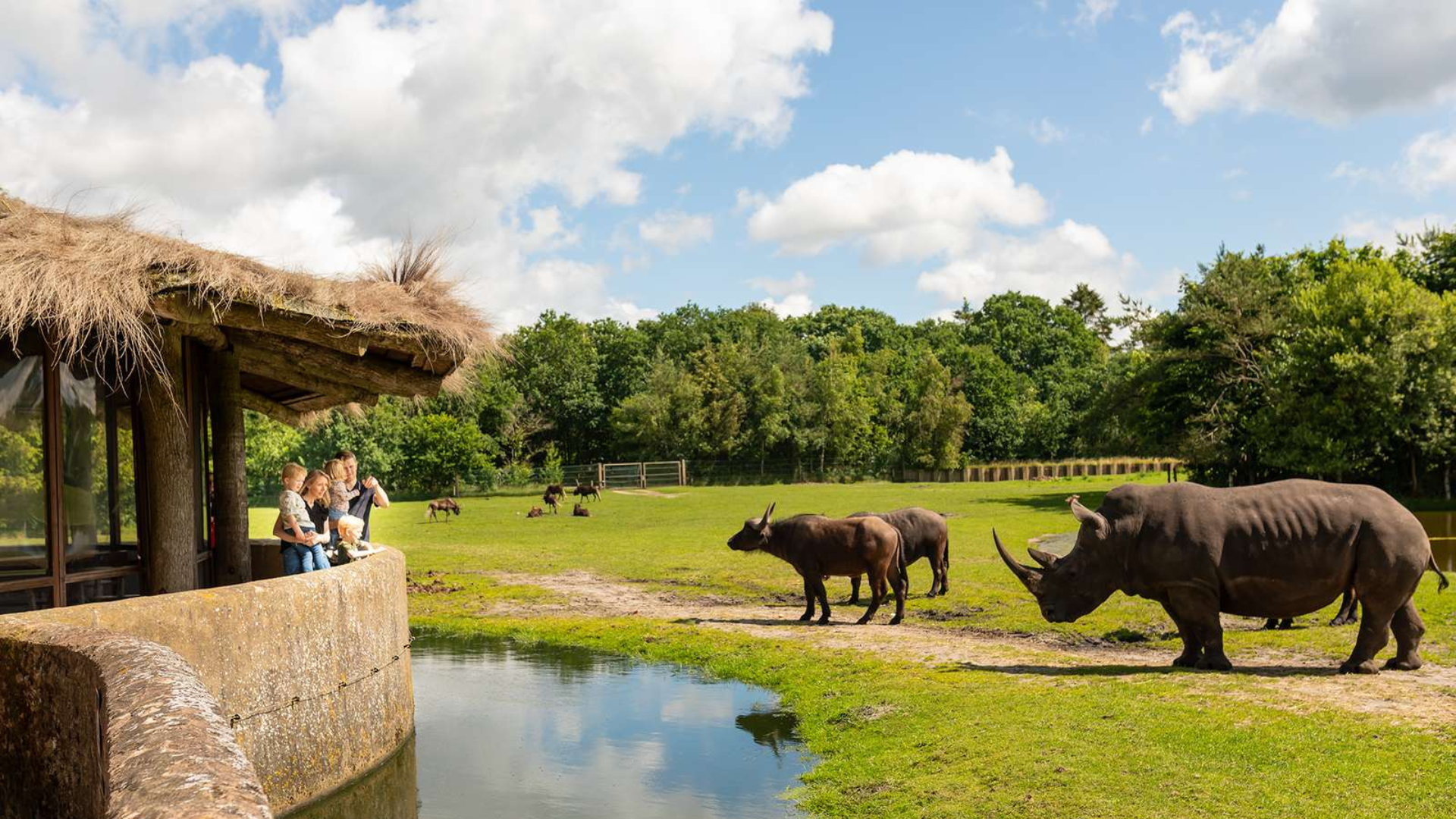 Family watching a rhinoceros at GIVSKUD ZOO