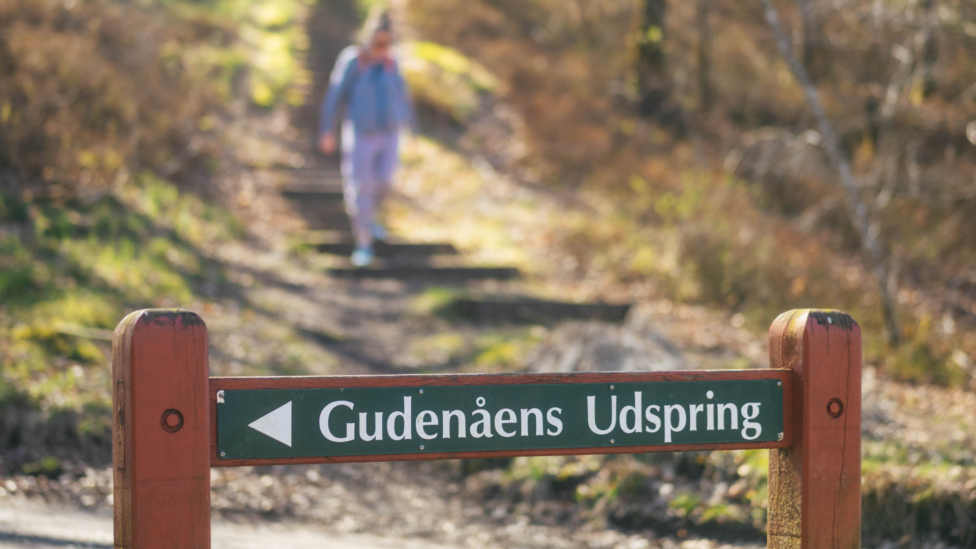 Woman walking along the Gudenå Trail down to the source of the Gudenå in Vejle Municipality