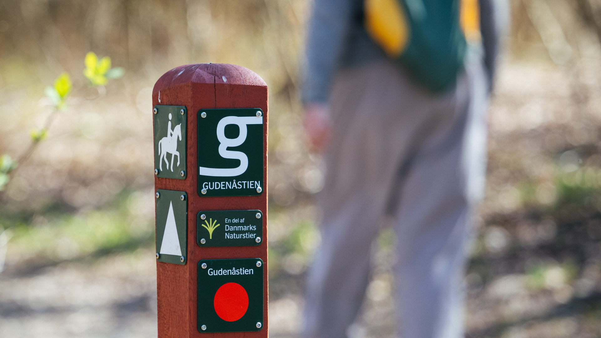 Hikers on the Gudenå Trail in Vejle Municipality on a spring day