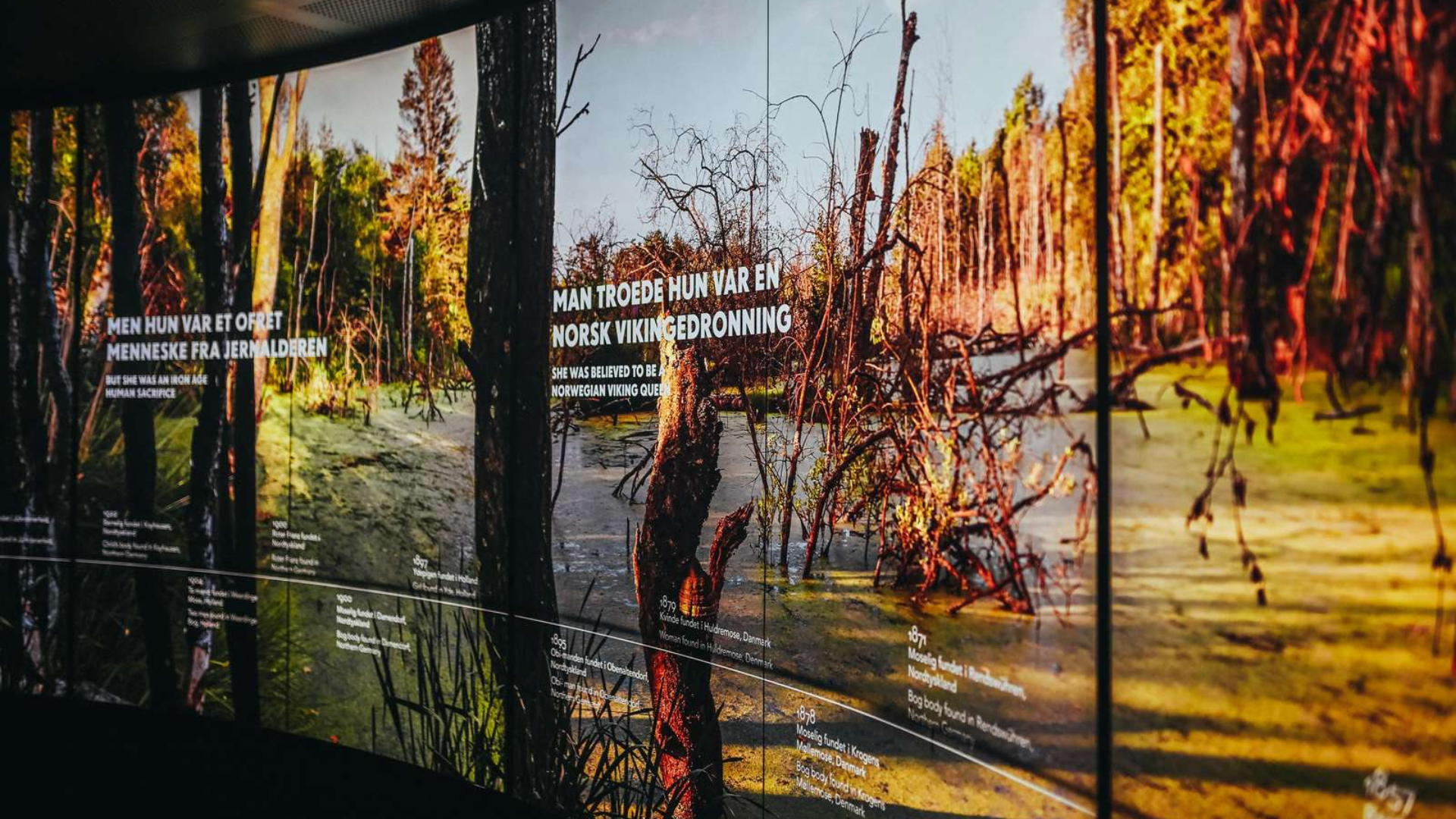 Entrance to the exhibition about the bog body Haraldskær Woman at the Cultural Museum in Vejle