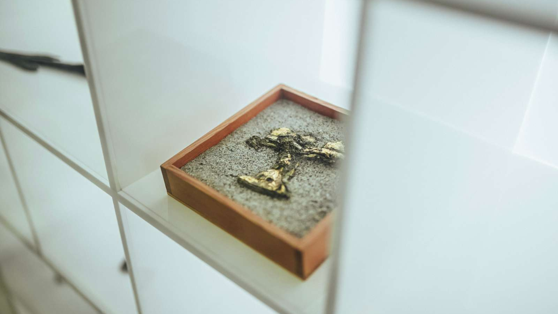 Prehistoric finds exhibited at the Cultural Museum in Vejle