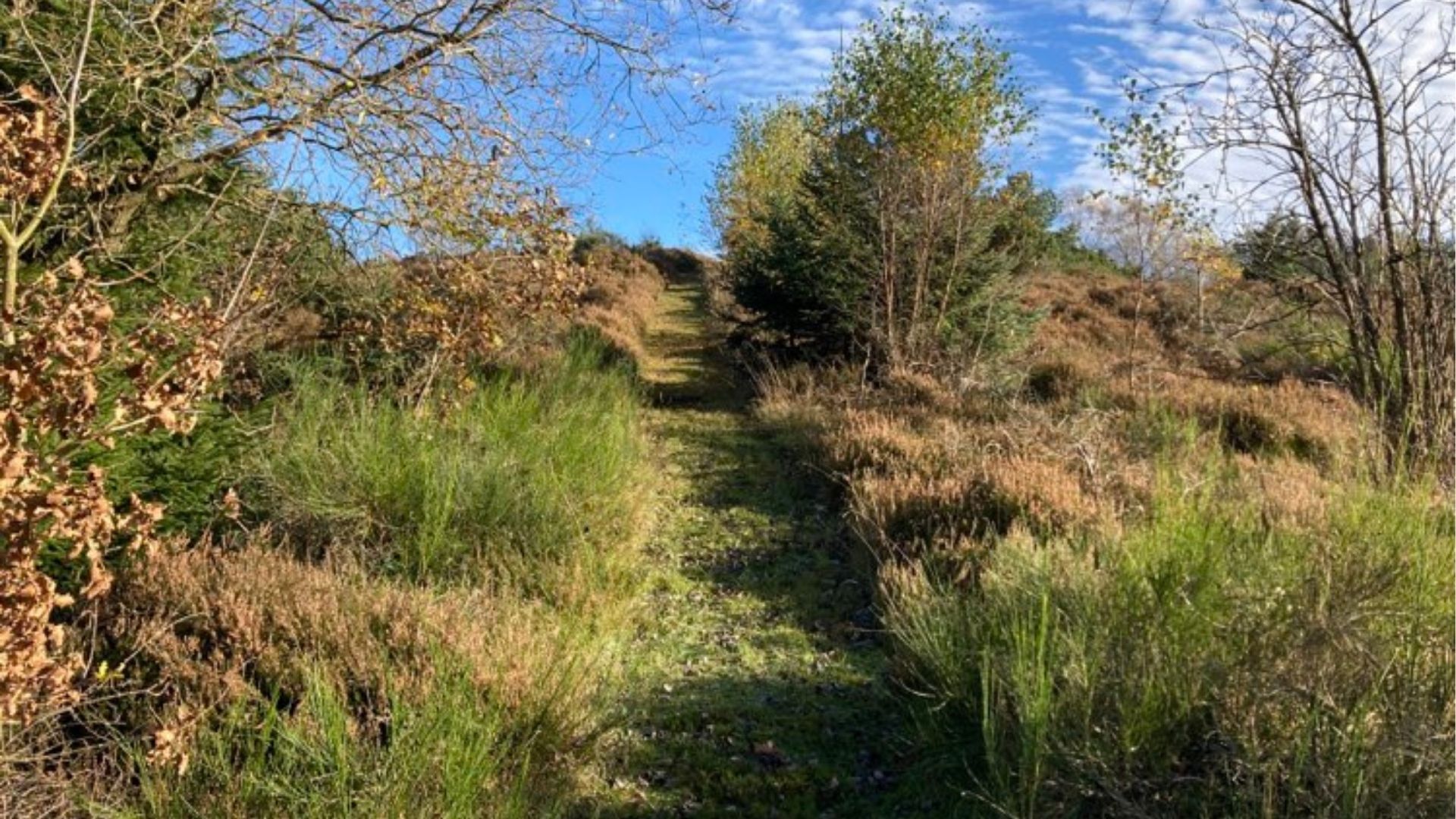 Good hiking trails near Horsbjerg Natur