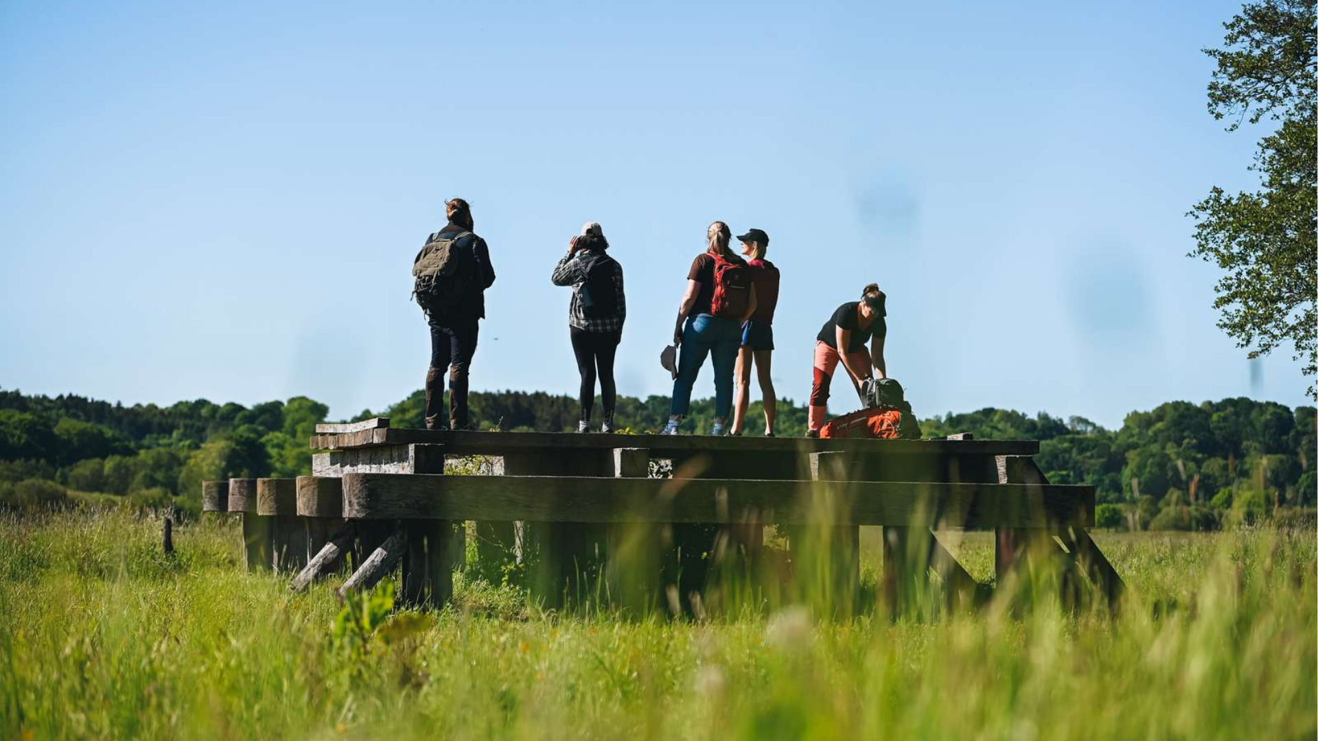 Hikers standing on Ravningbroen looking out over Vejle’s river valleys