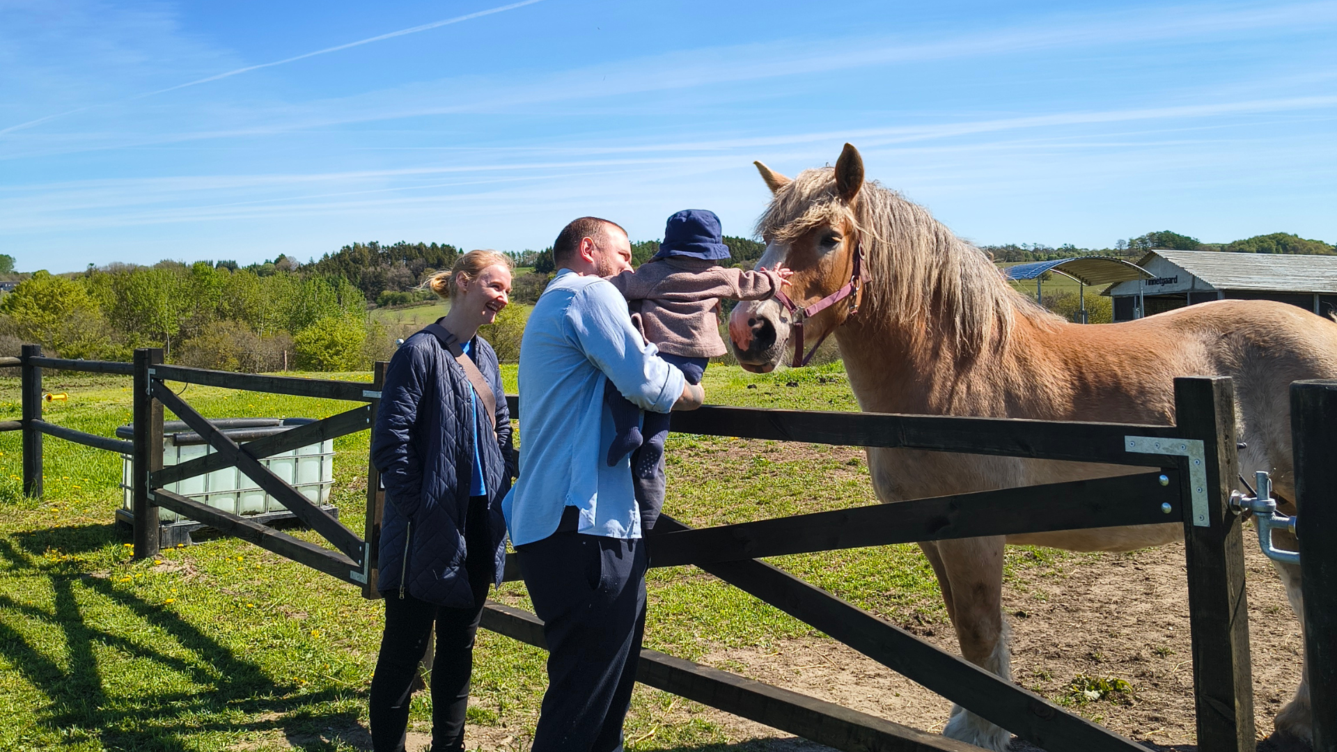 Familie mit kleinem Kind streichelt ein Pferd im Gehege