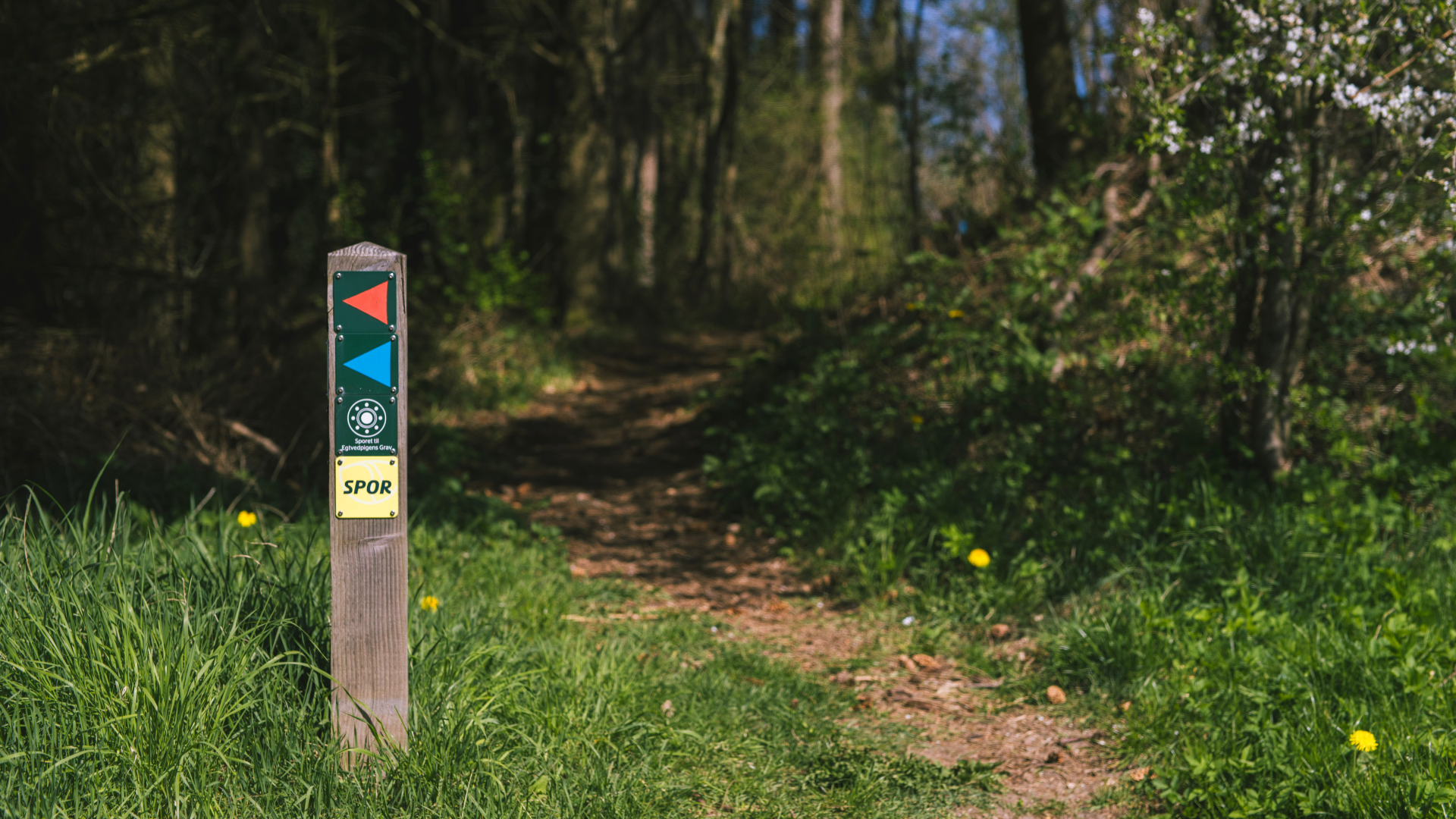 Spor Egtved by a post with the colours of the trails