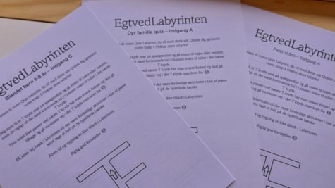 Egtvedlabyrinten er en quizlabyrint