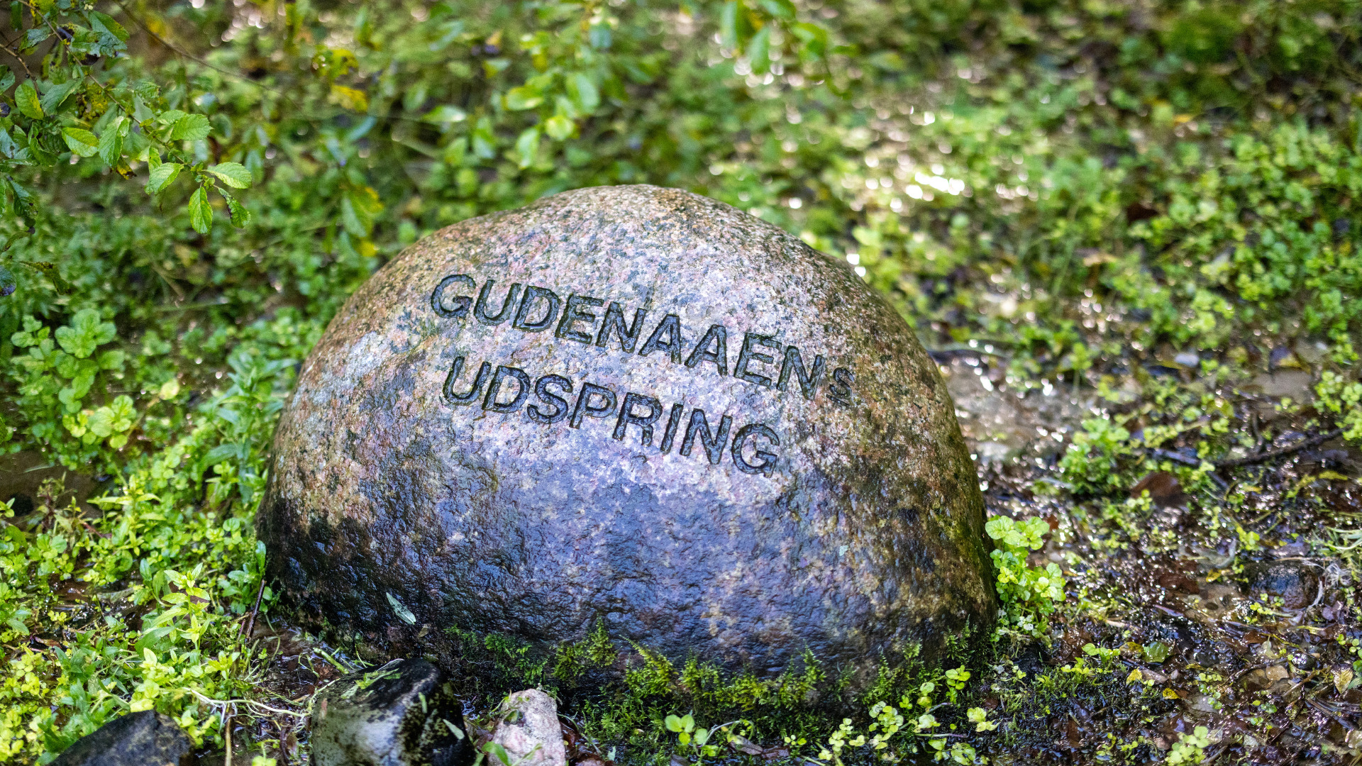 Stenen ved Gudenåens Udspring i Vejle-området
