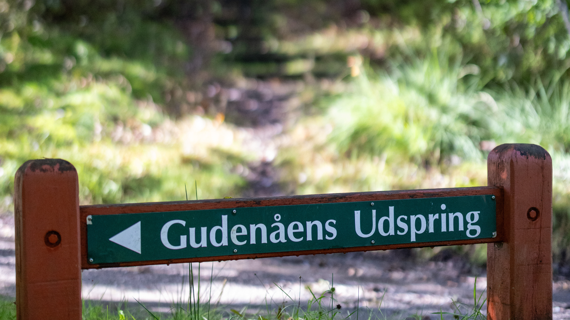 Skilt som peger hen til Gudenåens Udspring