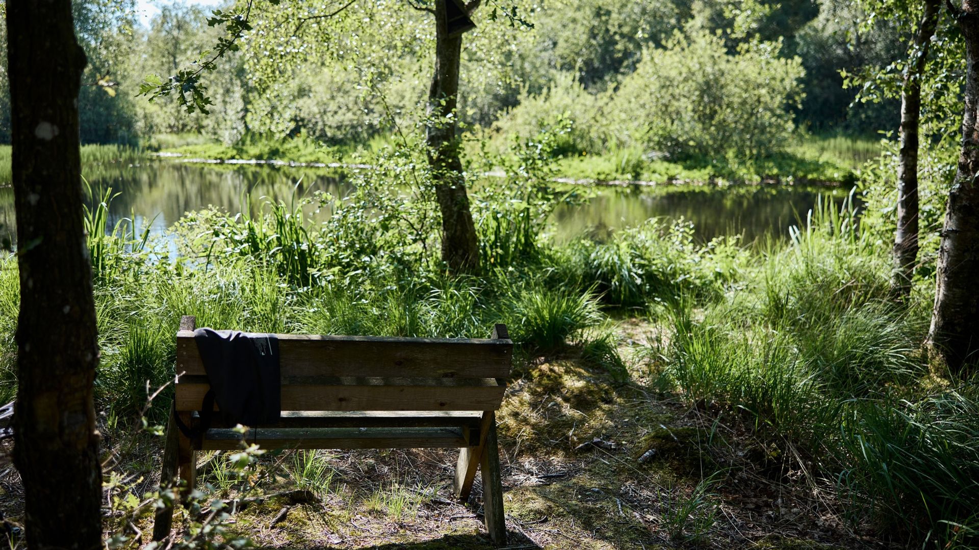 En bænk tæt ved søen og naturskønne omgivelser ved Egtved Camping nær Vejle