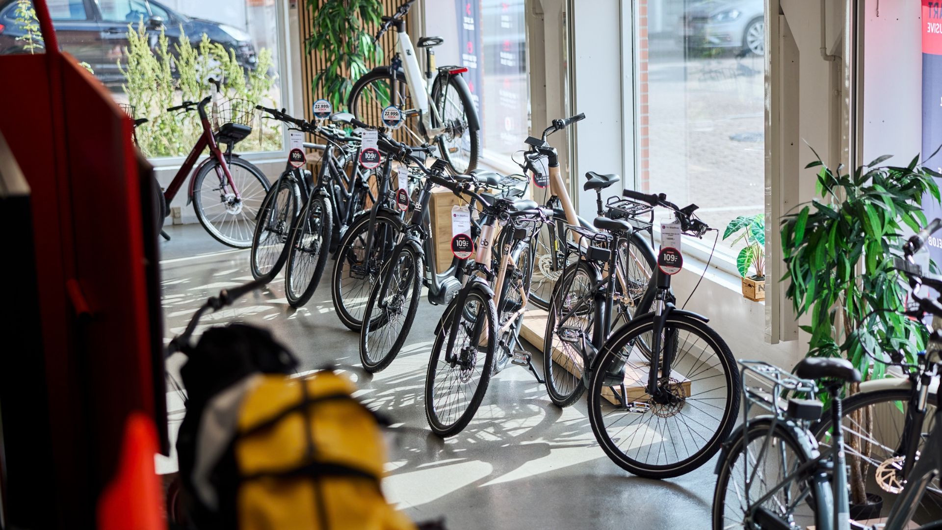 Cykler i udstillingen hos Fri BikeShop i Vejle