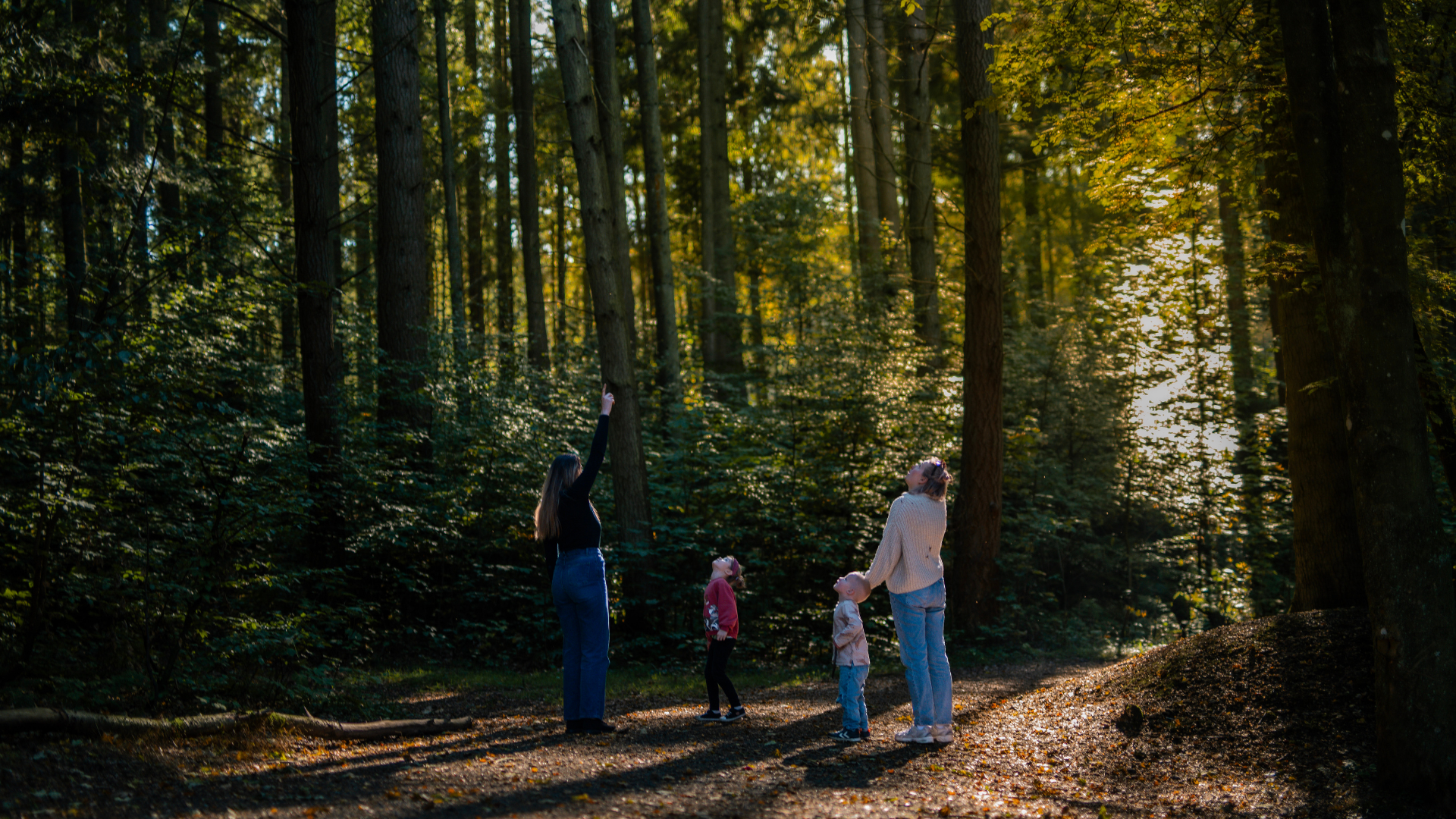 Mütter und Kinder auf einem Herbstausflug im Sønderskoven in Vejle