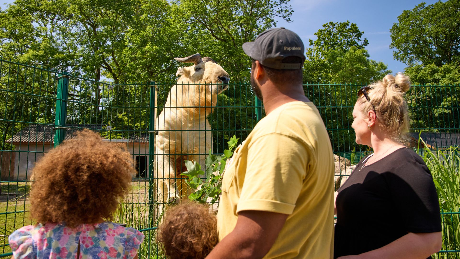 Eine Familie mit zwei Kindern beobachtet die Tiere im Skærup Zoo in der Nähe von Vejle.