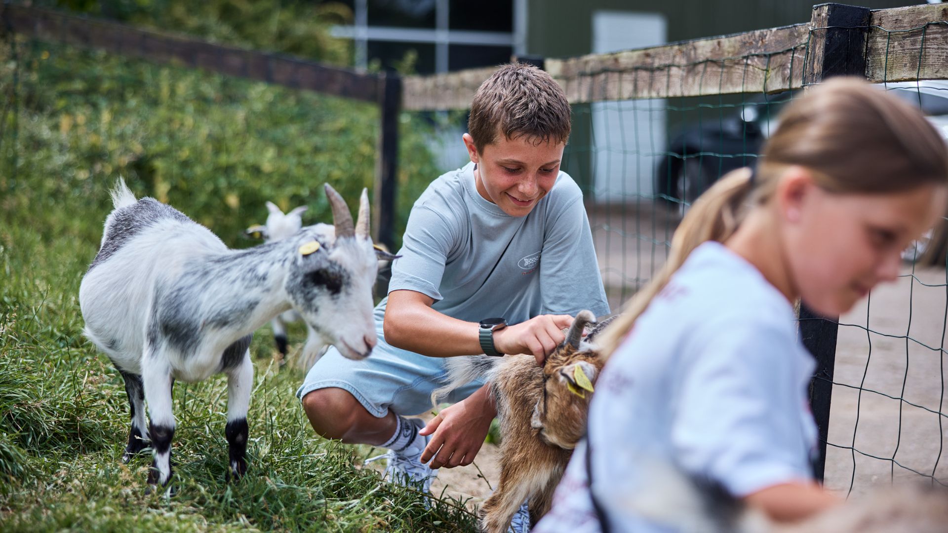 Kinder streicheln Ziegen im Riis Feriepark in Give in der Nähe von Vejle.