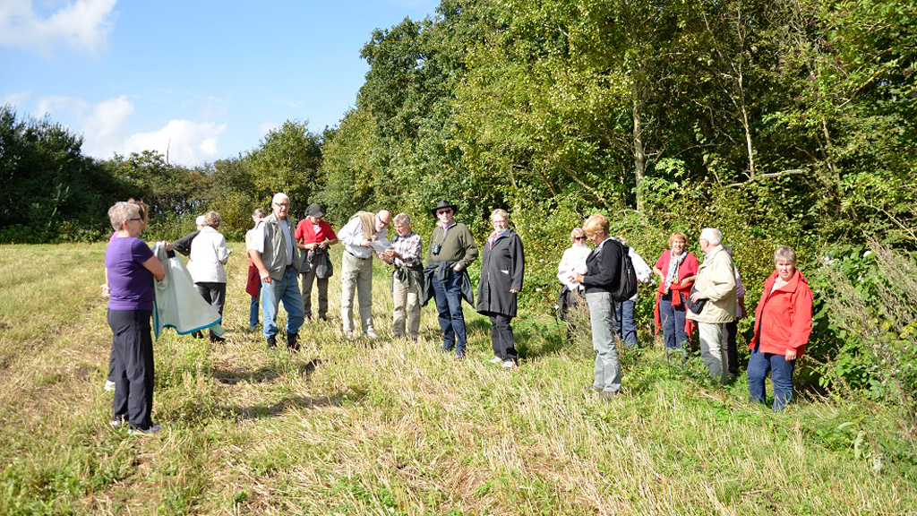 Hiking: Trail at the Paradise at Gedsted