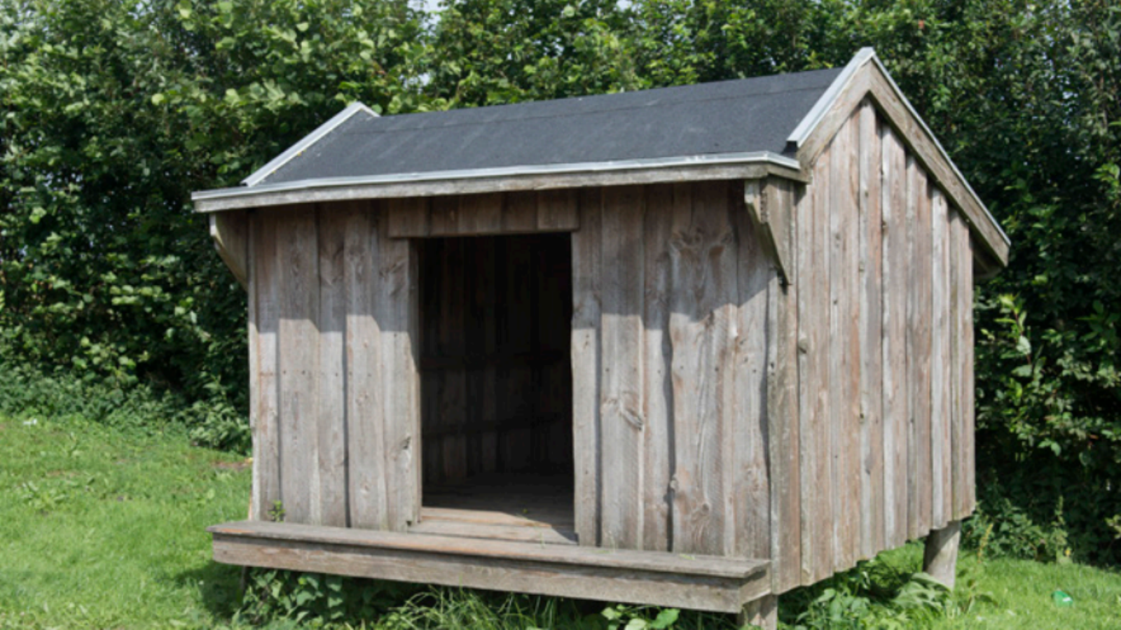 Nature Base Vilsted Sø, Ranum