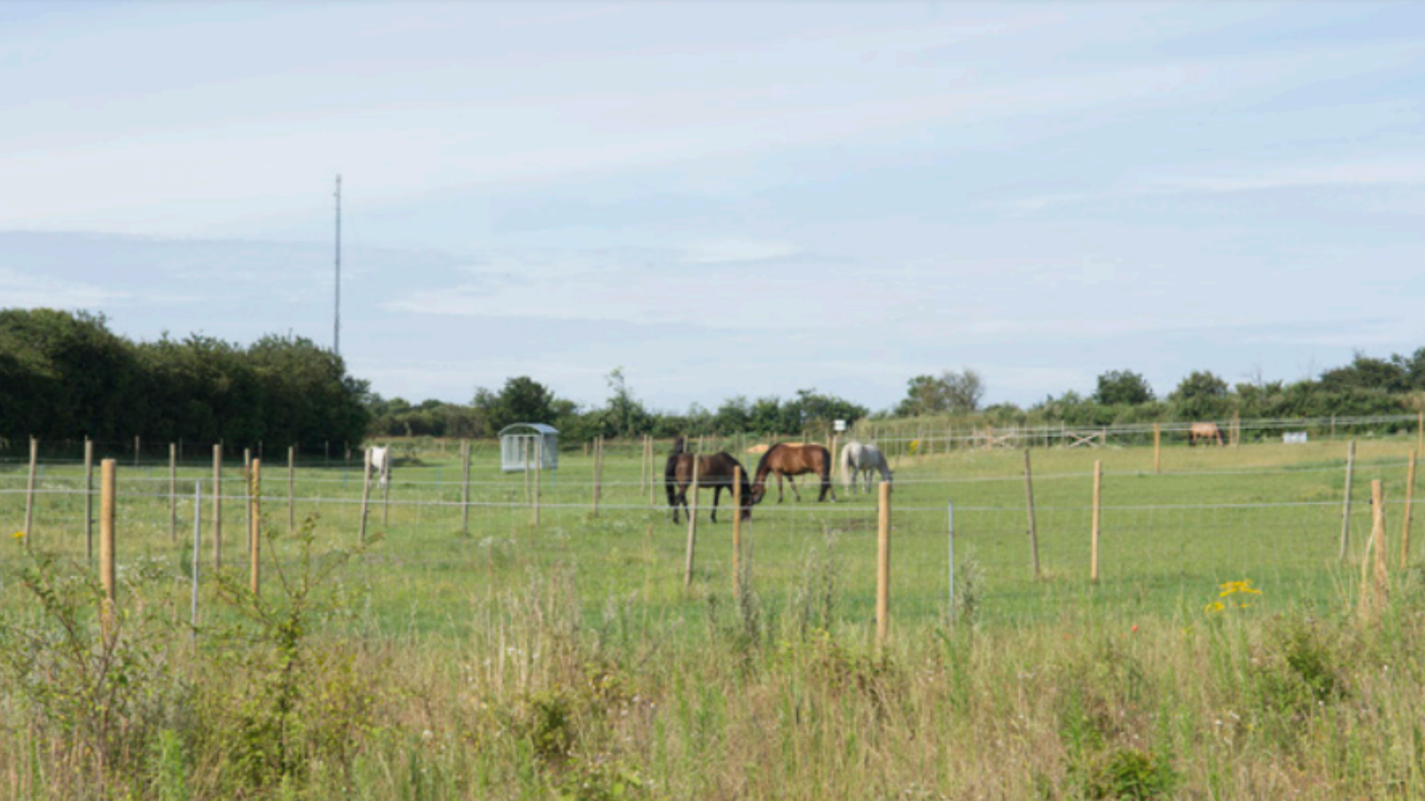 Shelter Vester Ørbæk
